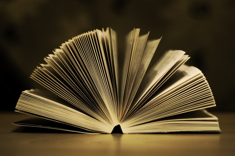Российское книгоиздание в I полугодии 2011: признаки стабилизации или повторение пройденного?