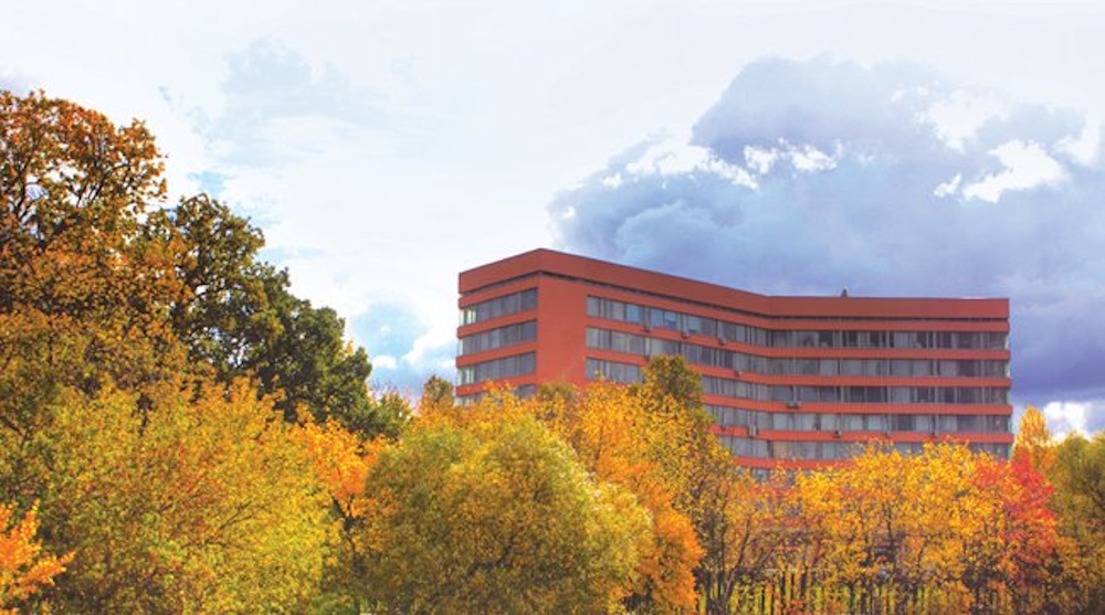 Книга как профессия